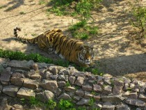 Nikolayev Zoo